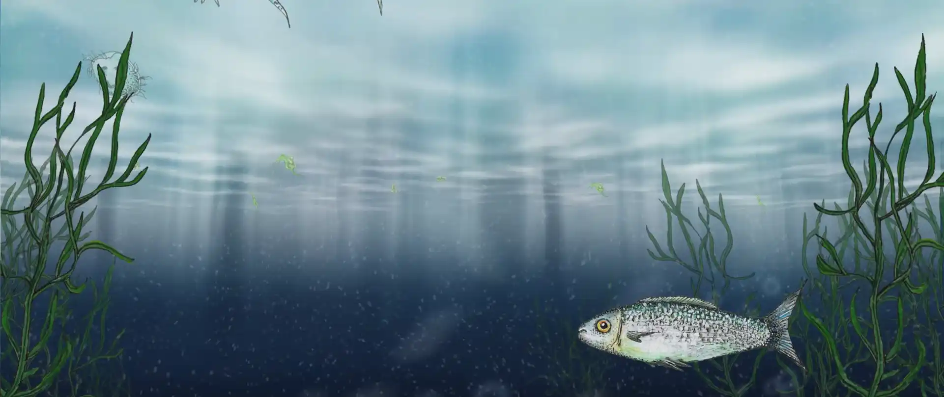 Landschap onder water